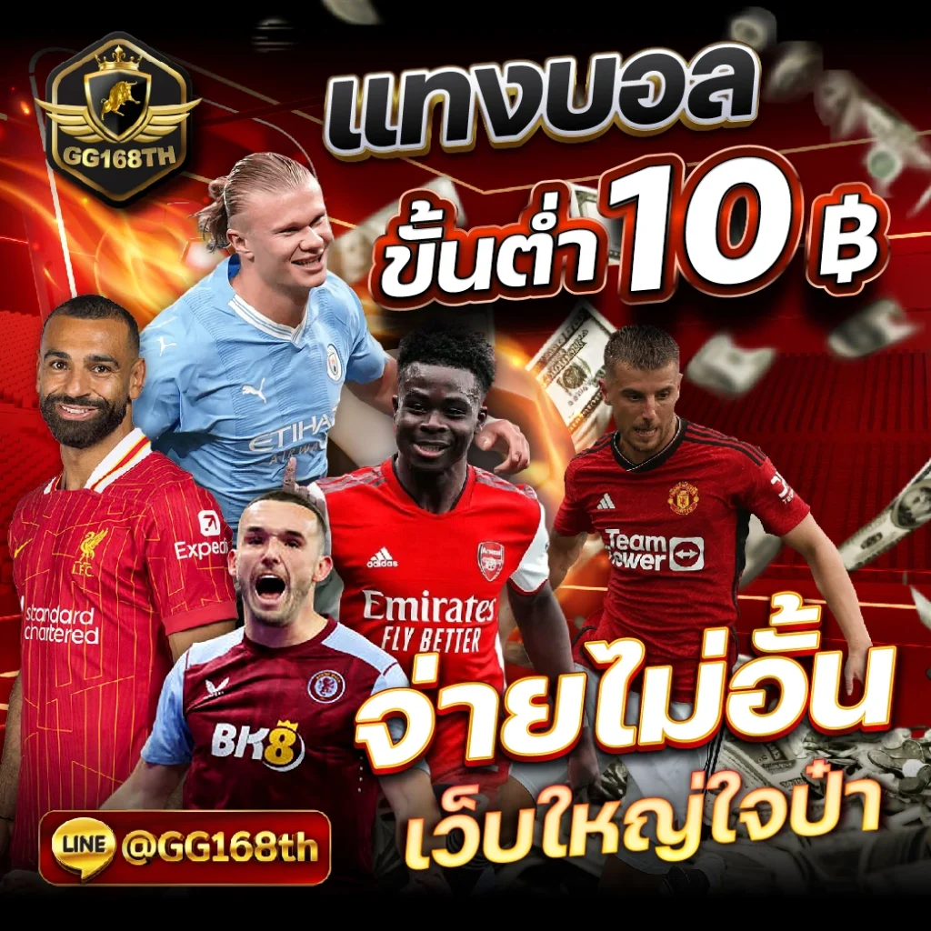 mekyou147 เว็บเดิมพันคาสิโนออนไลน์ยอดนิยม 2024 มาตรฐานสูงสุด