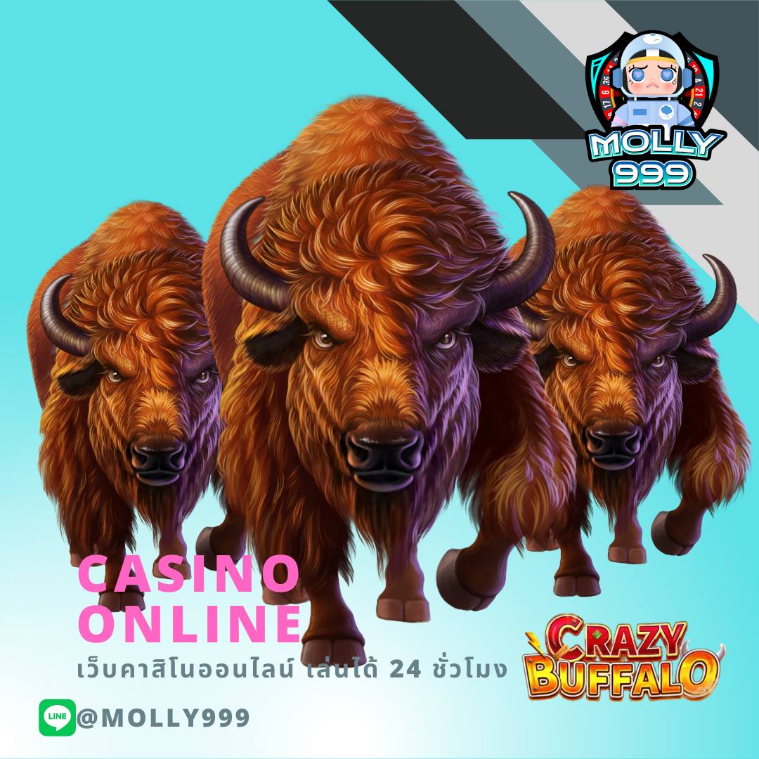 สล็อต24 แพลตฟอร์มเกมคาสิโนออนไลน์ยอดนิยมแห่งปี ส่งตรงความสนุกสุดมันส์