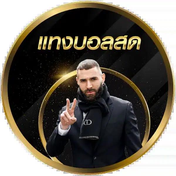 สล็อต555 คาสิโนออนไลน์ครบวงจร สมัครง่าย แจกเครดิตฟรี 2024