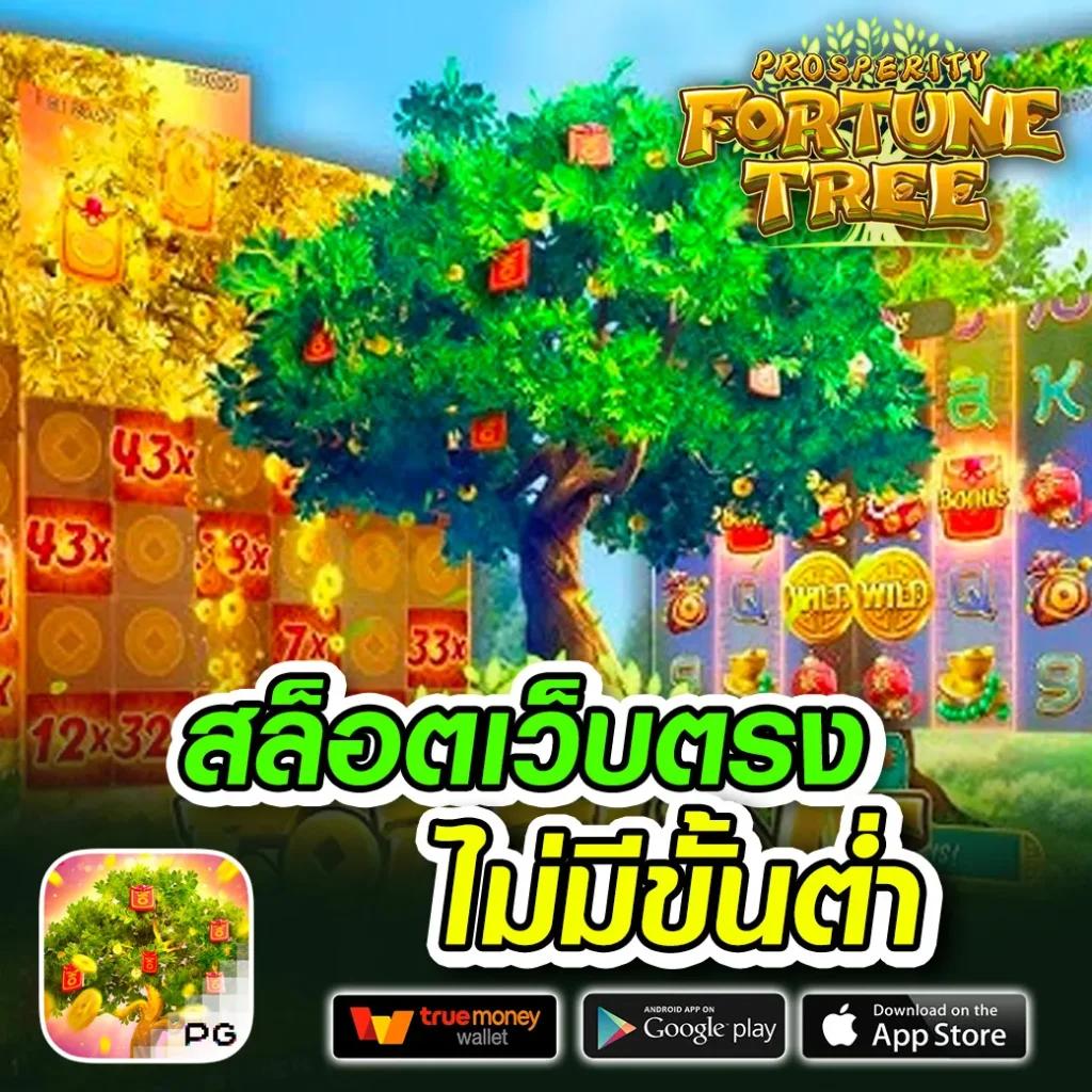 เว็บ เศรษฐีเบท เกมคาสิโนออนไลน์ครบจบทุกความบันเทิงในไทย